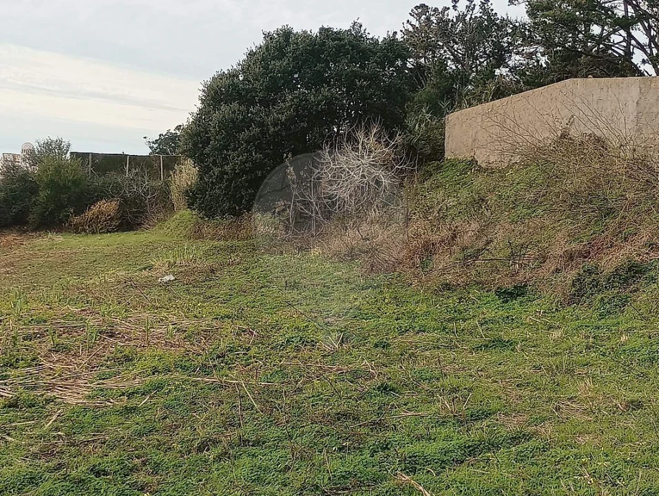 Terreno para Venda em Colares Foto 6
