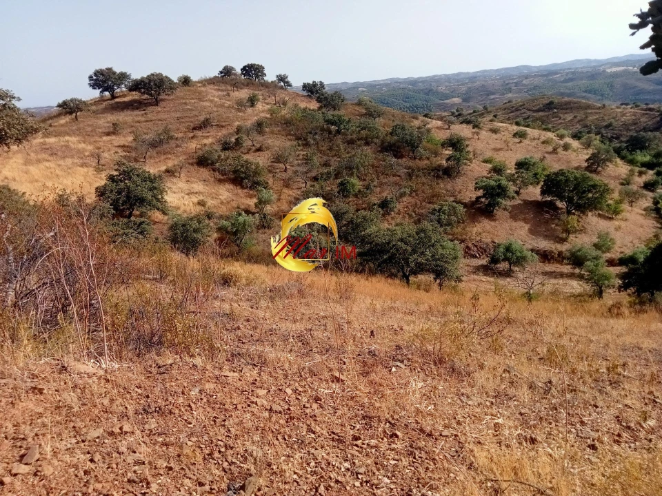 Terreno Agricola ou Rústico para Venda em Odeleite Foto 1