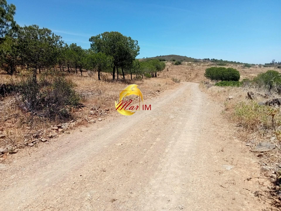Terreno Agricola ou Rústico para Venda em Odeleite Foto 12
