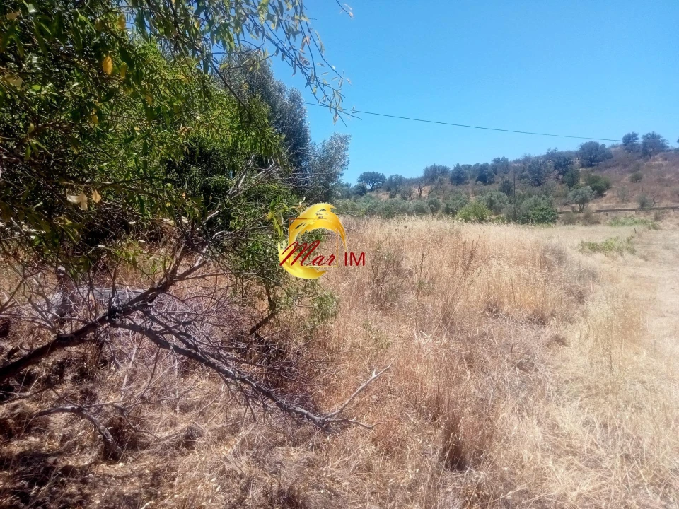 Terreno Agricola ou Rústico para Venda em Odeleite Foto 3