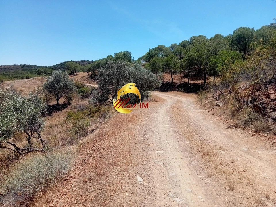 Terreno Agricola ou Rústico para Venda em Odeleite Foto 8