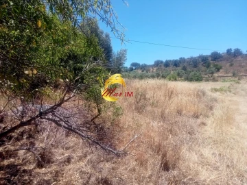 Terreno Agricola ou Rústico para Venda em Odeleite