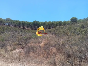 Terreno Agricola ou Rústico para Venda em Odeleite