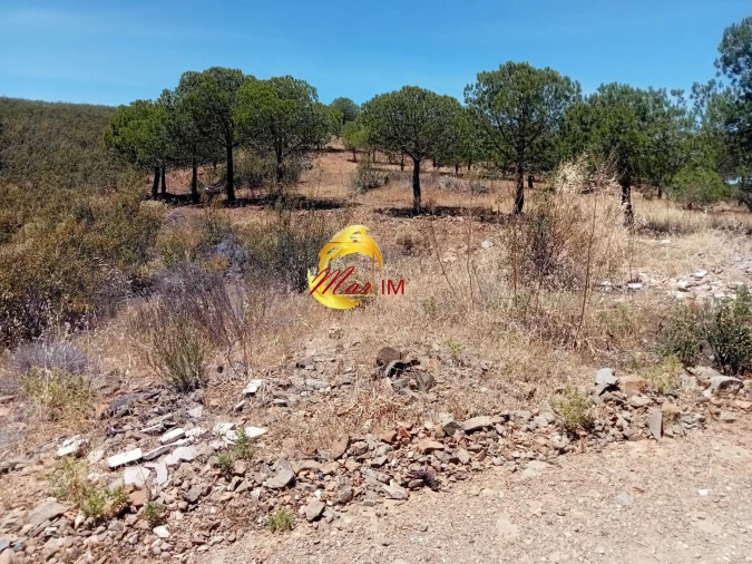 Terreno Agricola ou Rústico para Venda em Odeleite Foto 11