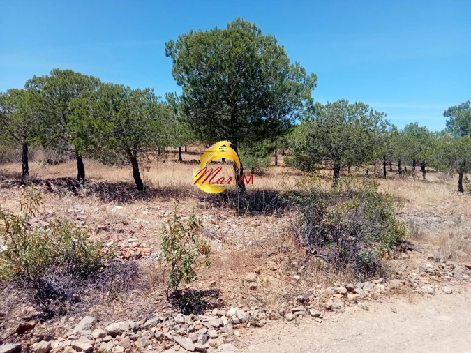 Terreno Agricola ou Rústico para Venda em Odeleite Foto 13