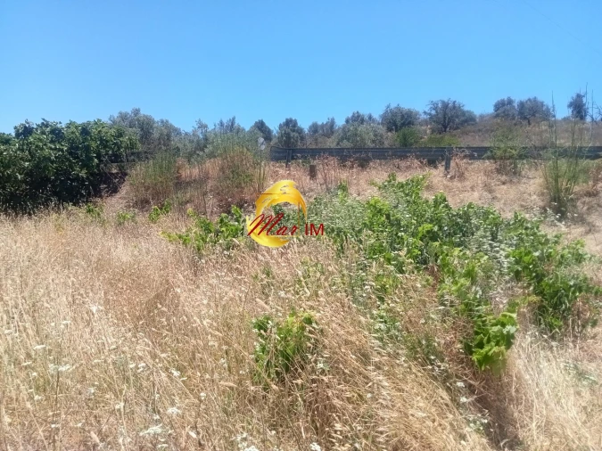 Terreno Agricola ou Rústico para Venda em Odeleite Foto 2
