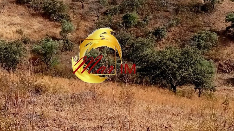 Terreno Agricola ou Rústico para Venda em Odeleite