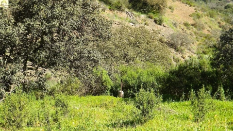 Terreno Agricola ou Rústico para Venda em Azinhal