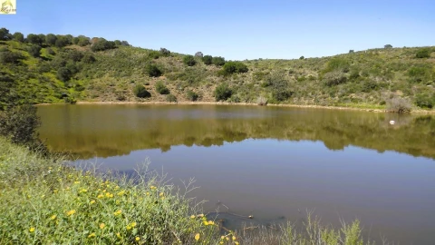 Terreno Agricola ou Rústico para Venda em Azinhal