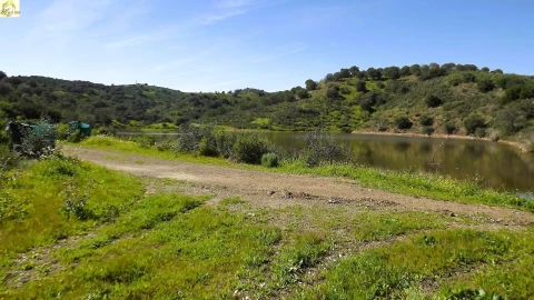 Terreno Agricola ou Rústico para Venda em Azinhal