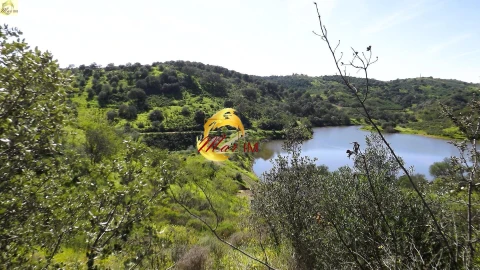 Terreno Agricola ou Rústico para Venda em Azinhal