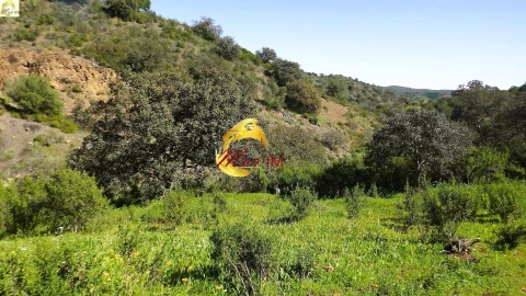 Terreno Agricola ou Rústico para Venda em Azinhal