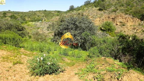 Terreno Agricola ou Rústico para Venda em Azinhal