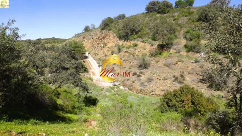 Terreno Agricola ou Rústico para Venda em Azinhal