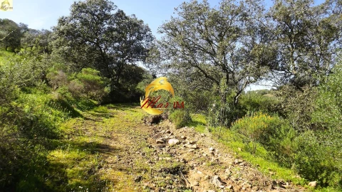 Terreno Agricola ou Rústico para Venda em Azinhal
