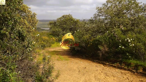 Terreno Agricola ou Rústico para Venda em Azinhal