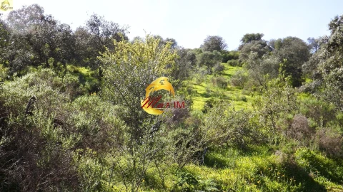 Terreno Agricola ou Rústico para Venda em Azinhal