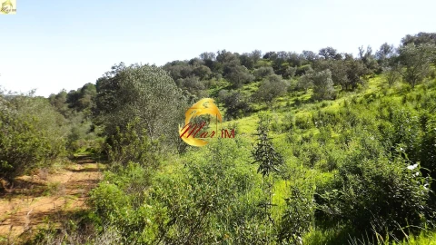 Terreno Agricola ou Rústico para Venda em Azinhal