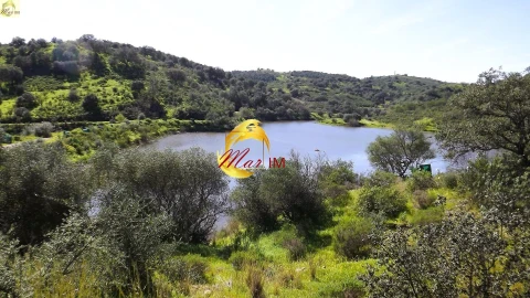 Terreno Agricola ou Rústico para Venda em Azinhal