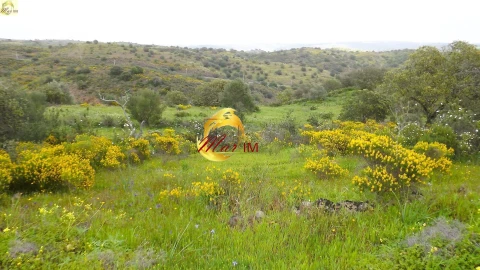 Terreno Agricola ou Rústico para Venda em Azinhal