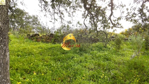 Terreno Agricola ou Rústico para Venda em Azinhal