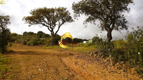 Terreno Agricola ou Rústico para Venda em Azinhal