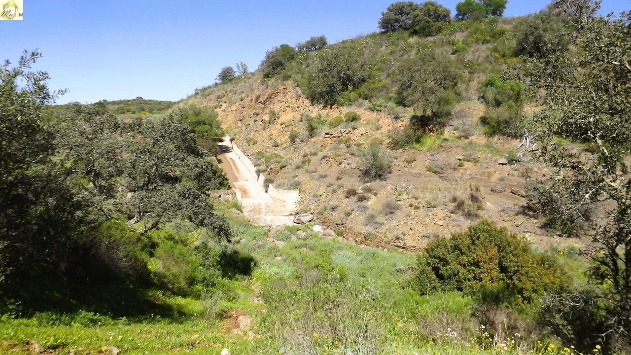 Terreno Agricola ou Rústico para Venda em Azinhal Foto 15