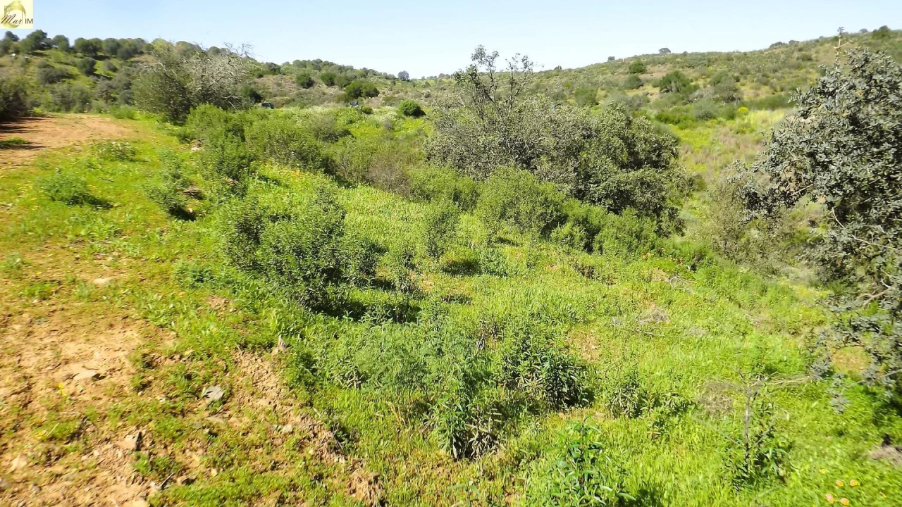 Terreno Agricola ou Rústico para Venda em Azinhal Foto 24