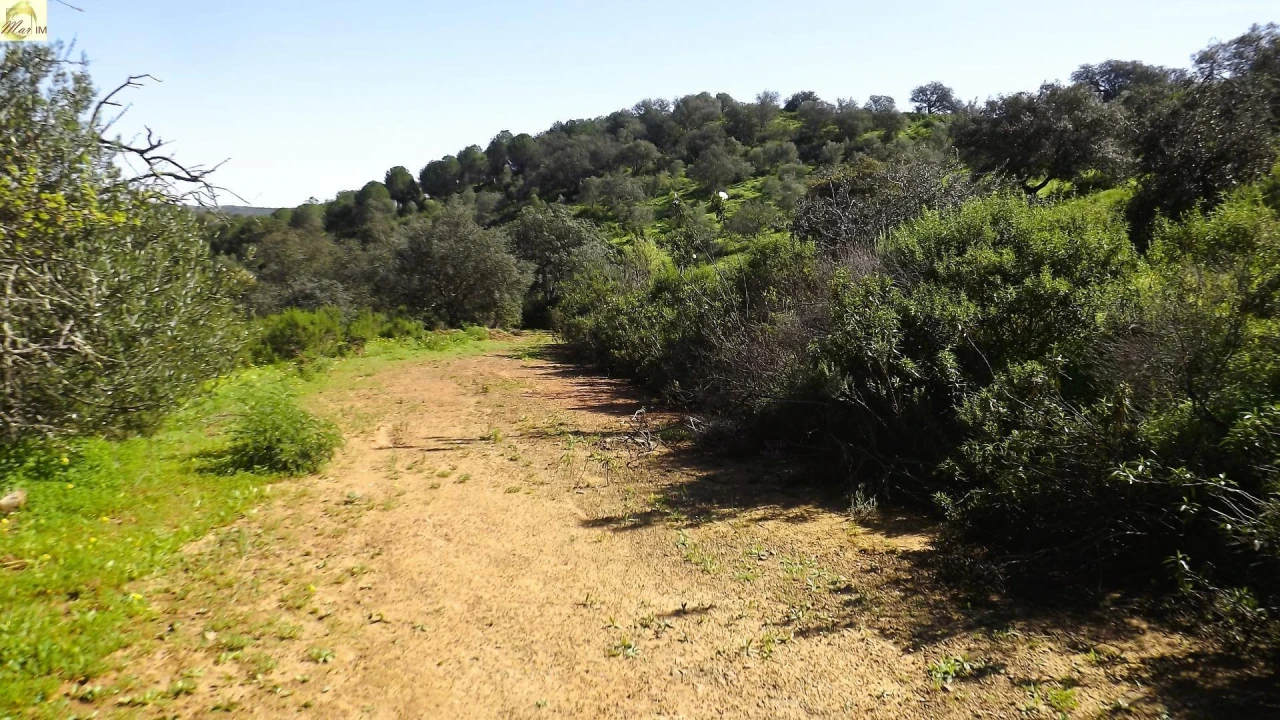 Terreno Agricola ou Rústico para Venda em Azinhal Foto 26