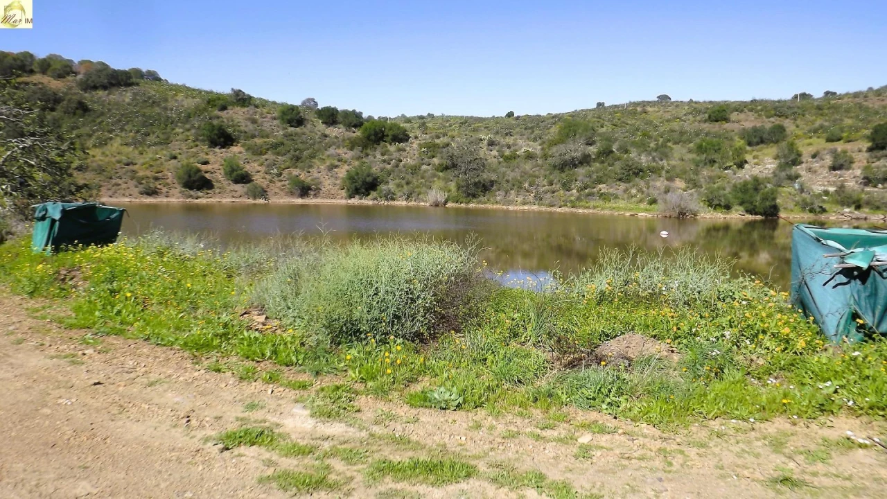 Terreno Agricola ou Rústico para Venda em Azinhal Foto 28