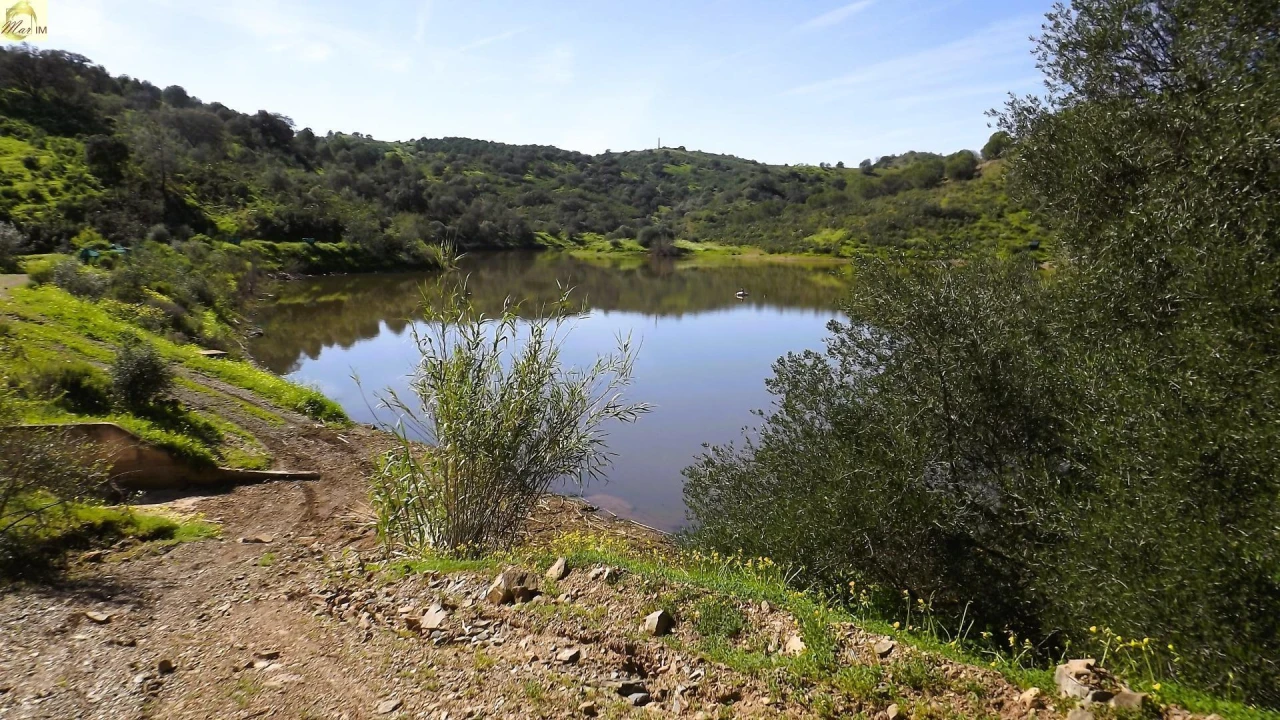 Terreno Agricola ou Rústico para Venda em Azinhal Foto 3