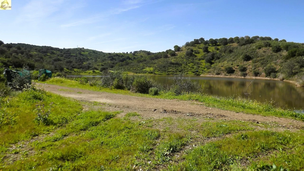 Terreno Agricola ou Rústico para Venda em Azinhal Foto 34