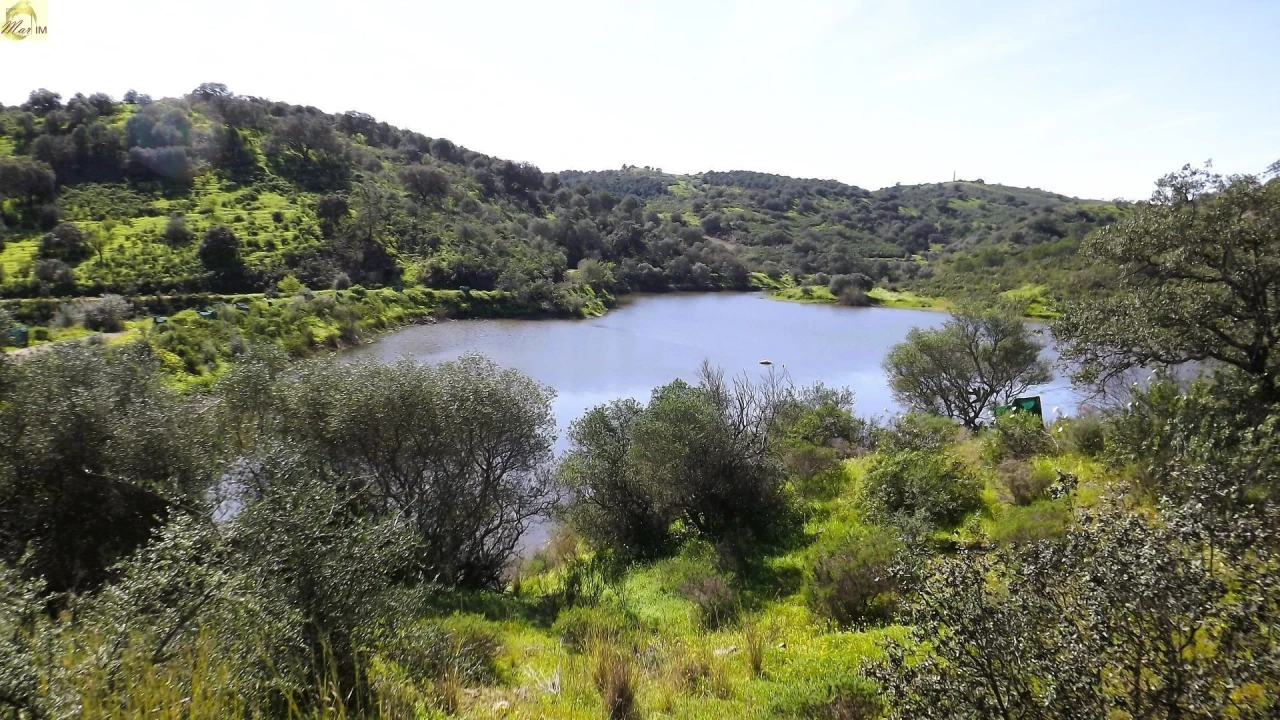 Terreno Agricola ou Rústico para Venda em Azinhal Foto 38