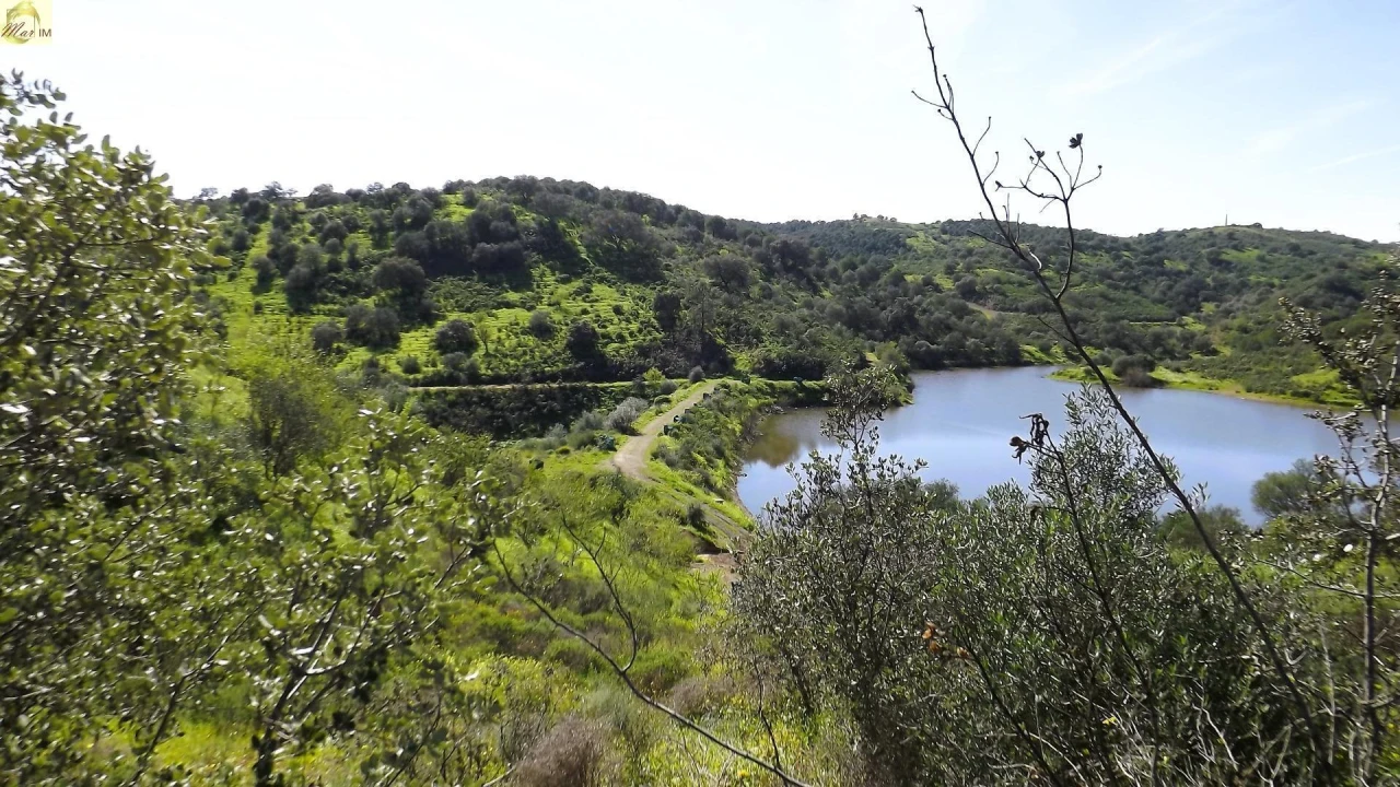 Terreno Agricola ou Rústico para Venda em Azinhal Foto 40