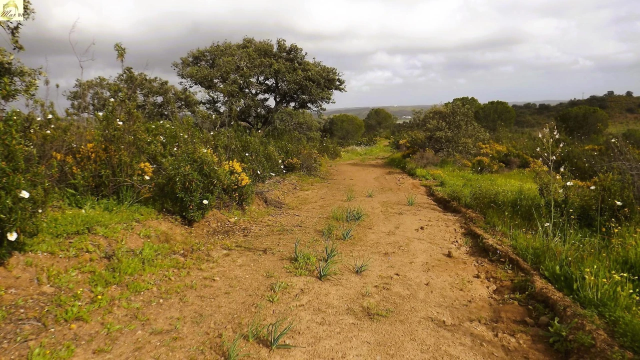 Terreno Agricola ou Rústico para Venda em Azinhal Foto 47