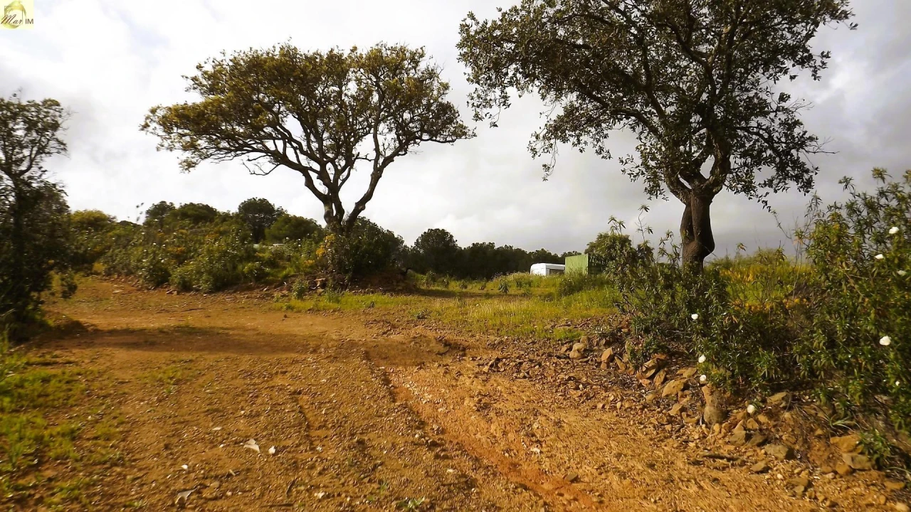 Terreno Agricola ou Rústico para Venda em Azinhal Foto 48