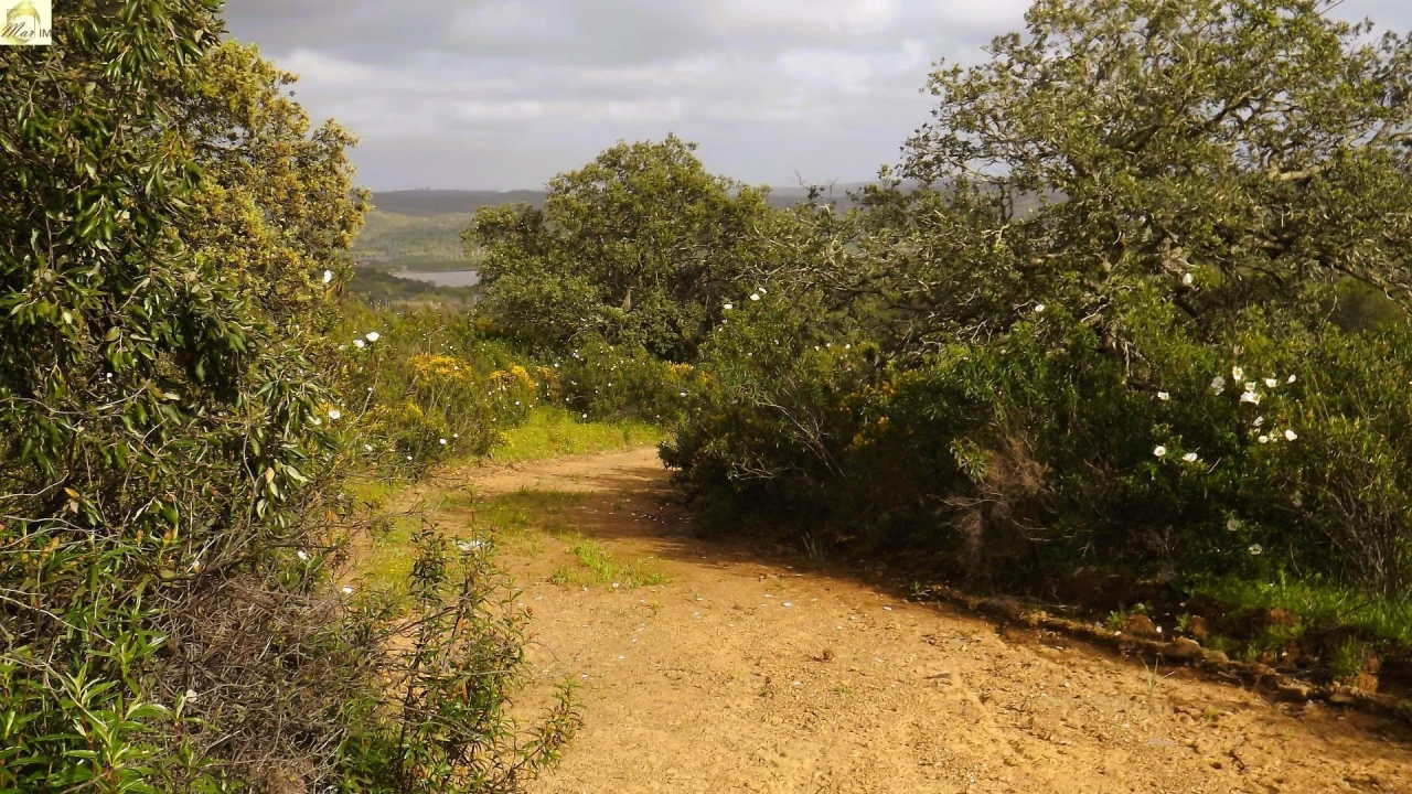 Terreno Agricola ou Rústico para Venda em Azinhal Foto 1