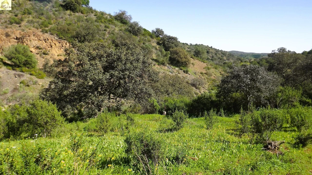 Terreno Agricola ou Rústico para Venda em Azinhal Foto 11