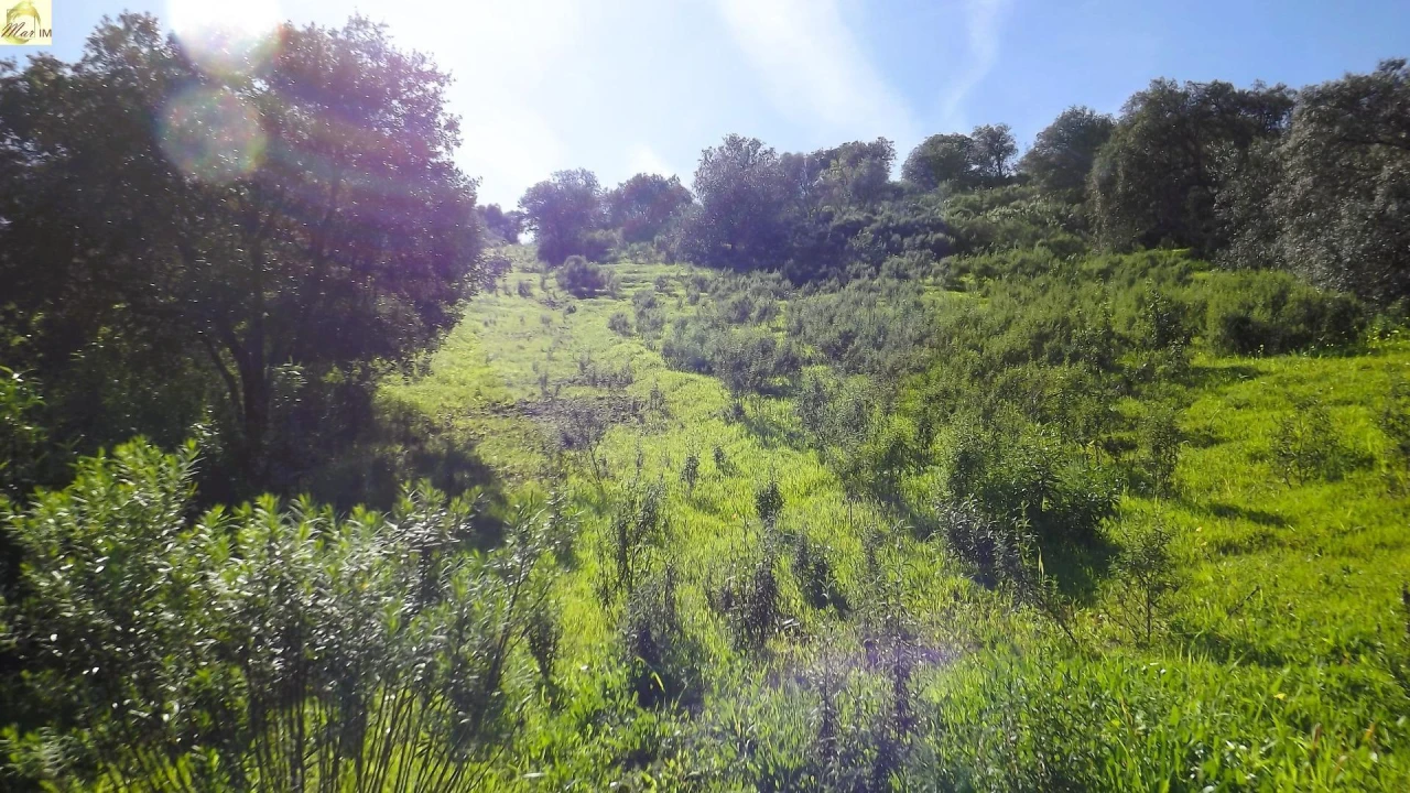 Terreno Agricola ou Rústico para Venda em Azinhal Foto 23