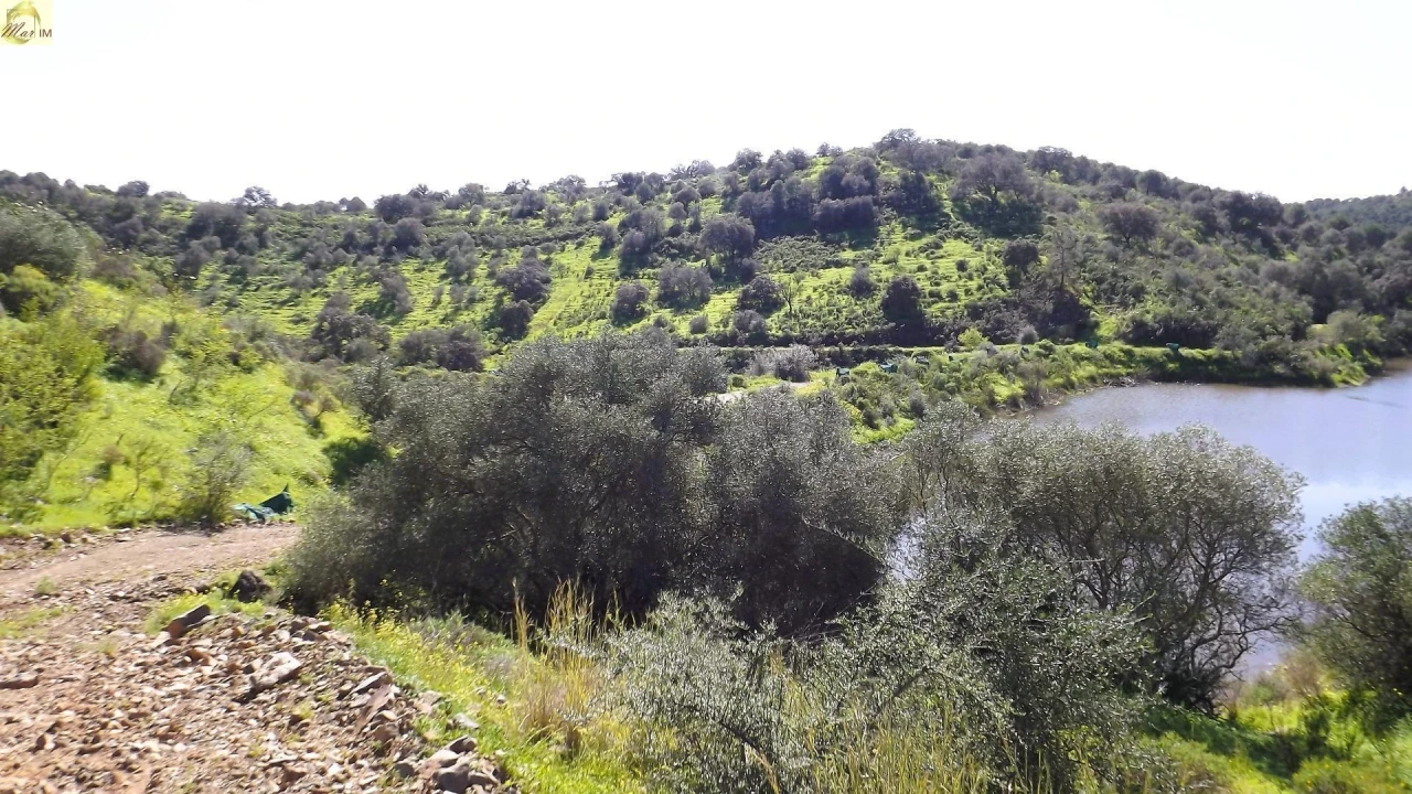 Terreno Agricola ou Rústico para Venda em Azinhal Foto 38