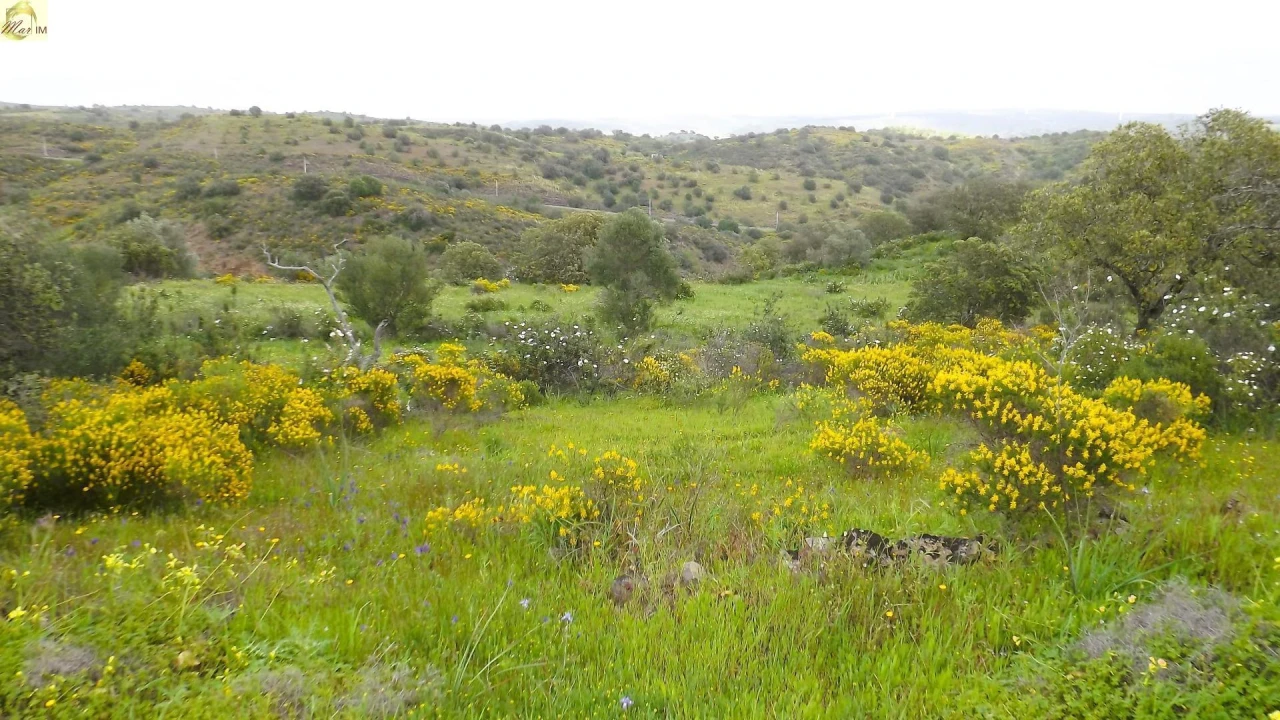 Terreno Agricola ou Rústico para Venda em Azinhal Foto 42