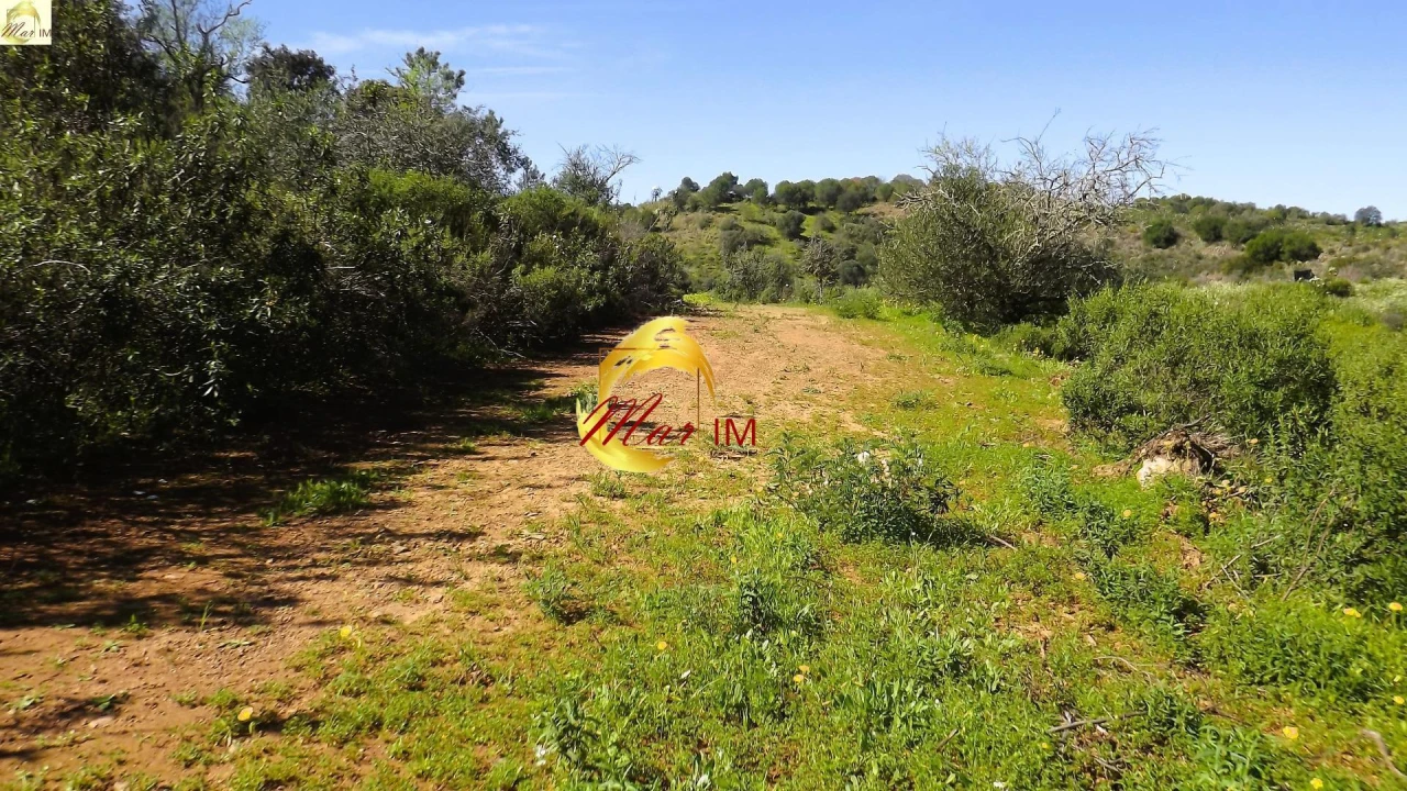 Terreno Agricola ou Rústico para Venda em Azinhal Foto 14