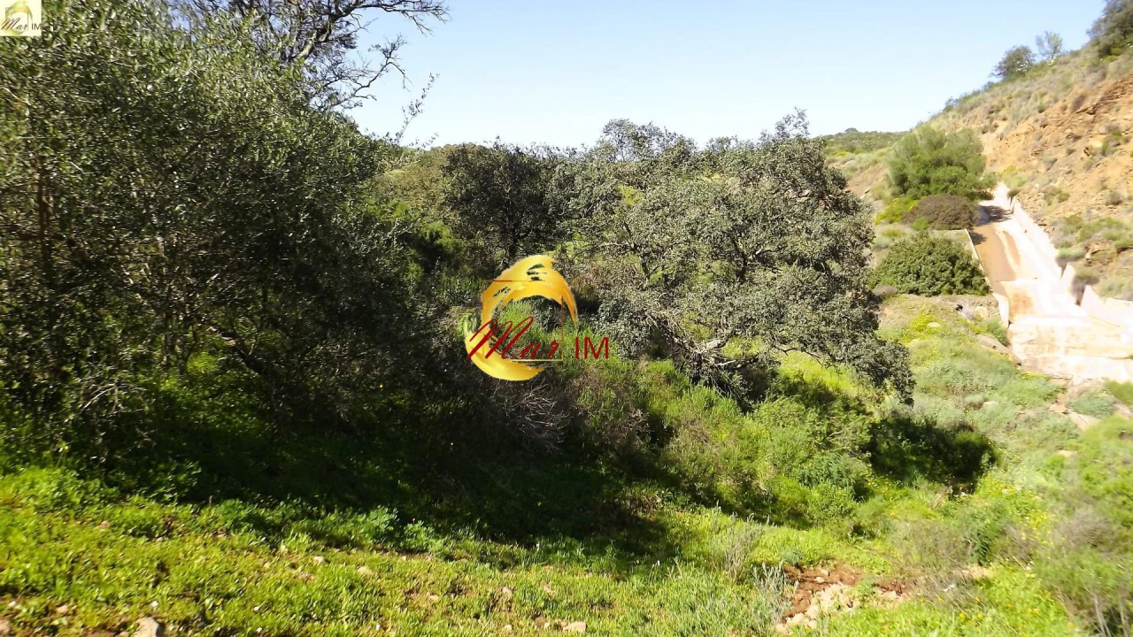 Terreno Agricola ou Rústico para Venda em Azinhal Foto 21