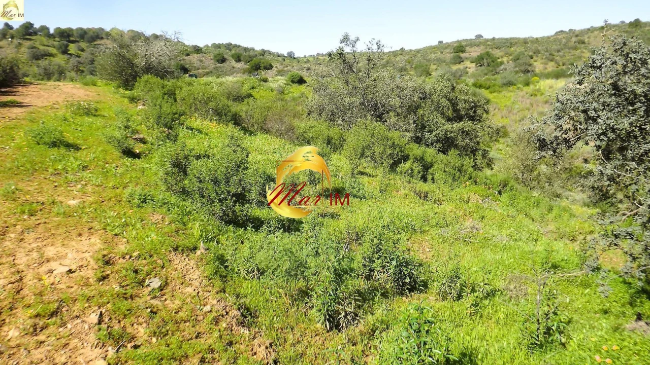 Terreno Agricola ou Rústico para Venda em Azinhal Foto 27
