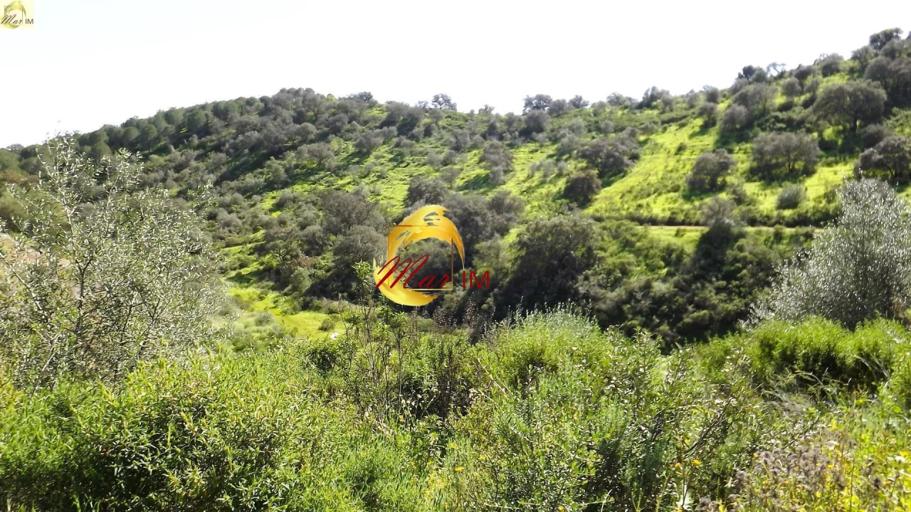 Terreno Agricola ou Rústico para Venda em Azinhal Foto 34