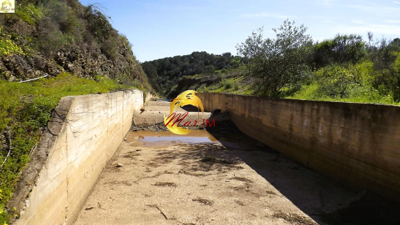 Terreno Agricola ou Rústico para Venda em Azinhal Foto 38