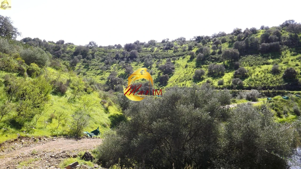 Terreno Agricola ou Rústico para Venda em Azinhal Foto 41