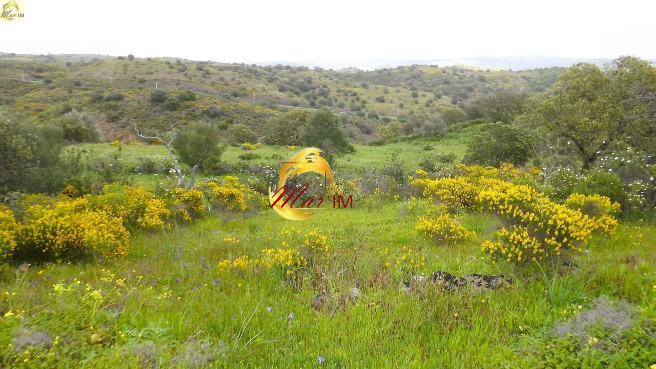 Terreno Agricola ou Rústico para Venda em Azinhal Foto 42