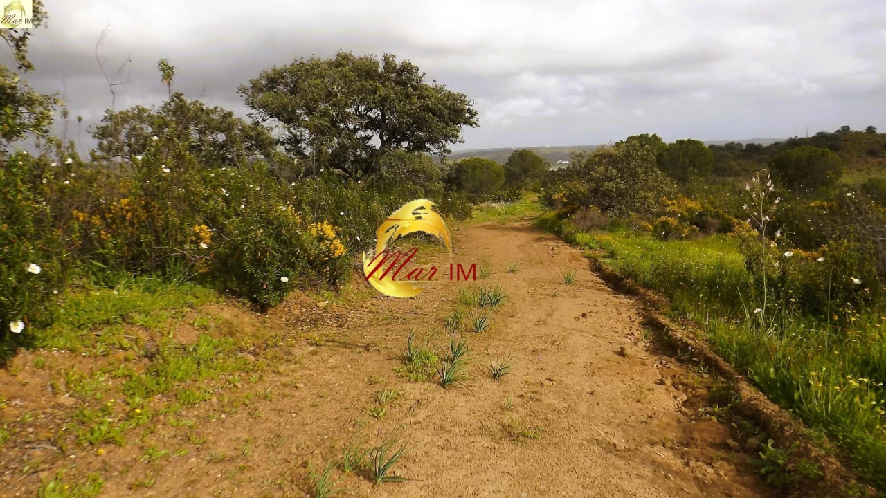 Terreno Agricola ou Rústico para Venda em Azinhal Foto 48