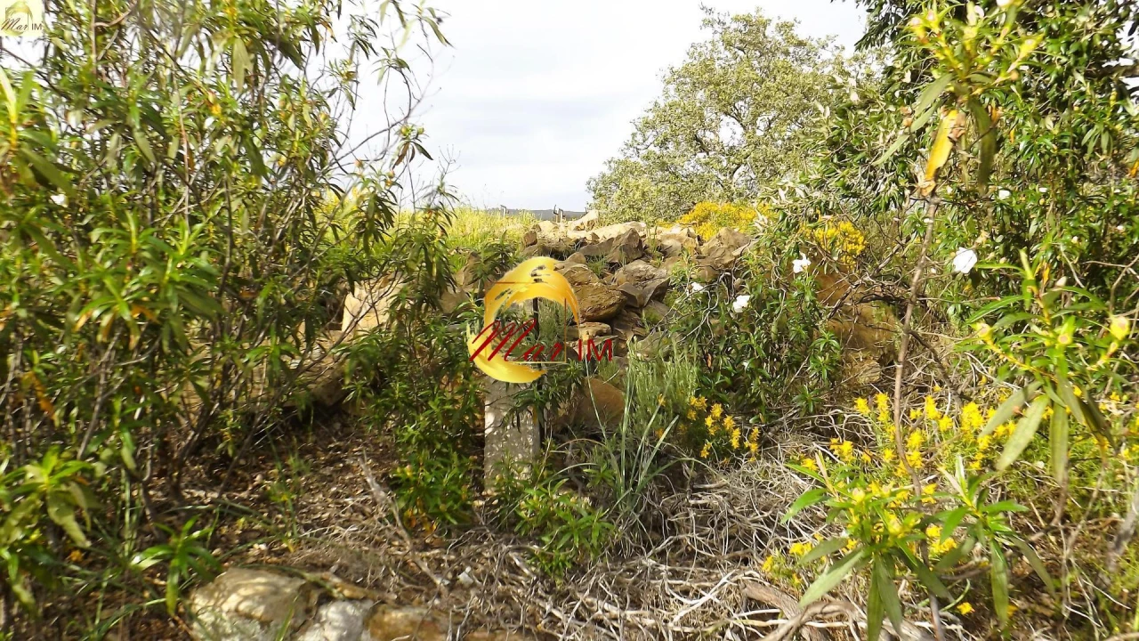 Terreno Agricola ou Rústico para Venda em Azinhal Foto 50